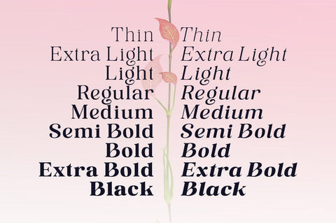 Rosting Gapertas Font Megatype 