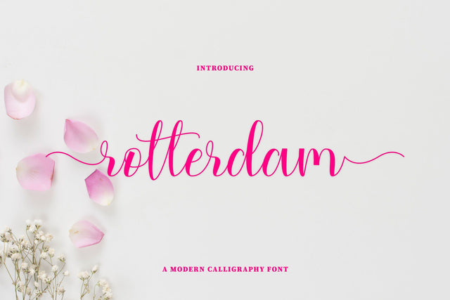 Rotterdam Font Jun Creative 
