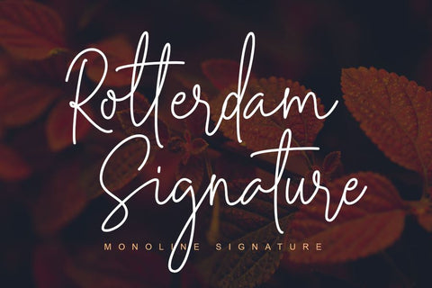 Rotterdam Signature - Casual Script Font MJB Letters Studio 