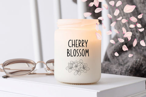 Route 55 Font Cotton White Studio 