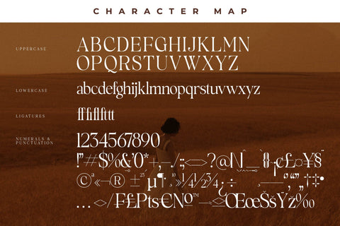 Rowfinde Typeface Font Storytype Studio 