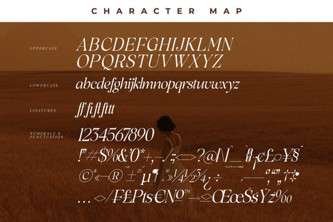 Rowfinde Typeface Font Storytype Studio 