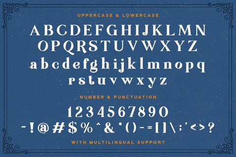 Rudisfave - Decorative Serif Font Font StringLabs 