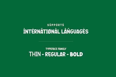 Rufing Font twinletter 