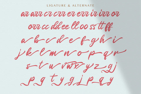 Rugani Payne - Textured Brush Font Font StringLabs 