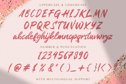 Rugani Payne - Textured Brush Font Font StringLabs 