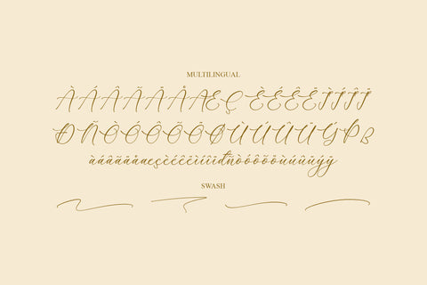 Rumaysa Chambert Luxury Script Font Storytype Studio 