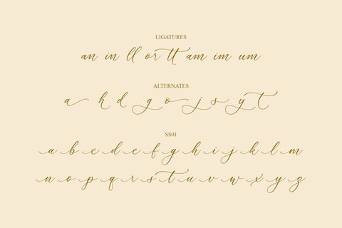 Rumaysa Chambert Luxury Script Font Storytype Studio 