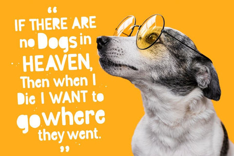 Rumini Namamu Font Allouse.Studio 