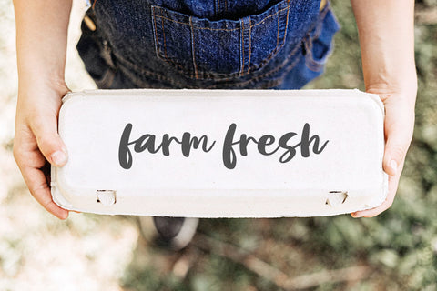 Rustic Farm - Farmhouse Script Font Font KA Designs 