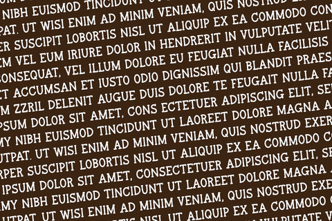 Rustic Spruce Serif Handwriting Font Blush Font Co. 