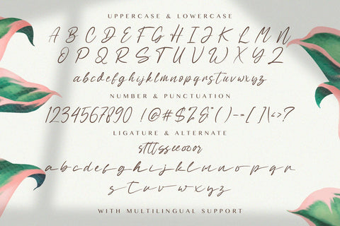 Sabeny Betranss - Handwritten Font Font StringLabs 