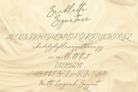 Sachlette Signature Font Dm Letter Studio 