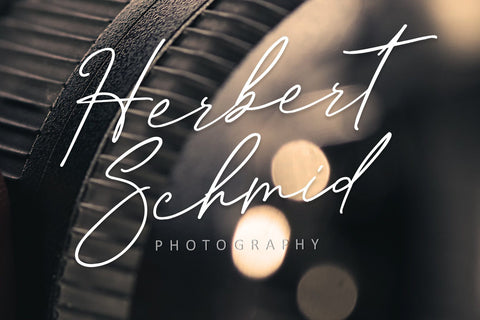 Sachlette Signature Font Dm Letter Studio 