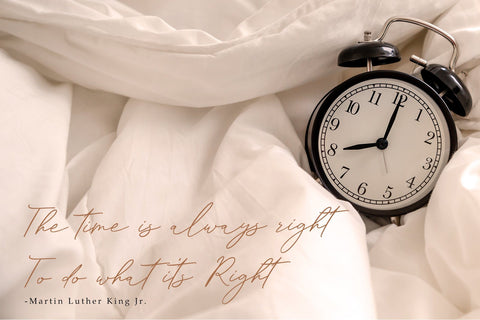 Sachlette Signature Font Dm Letter Studio 