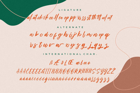Sachssy Classy Handwritten Font Creatype Studio 