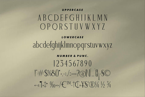 SAEGATHE Typeface Font Storytype Studio 