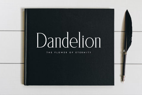 SAEGATHE Typeface Font Storytype Studio 