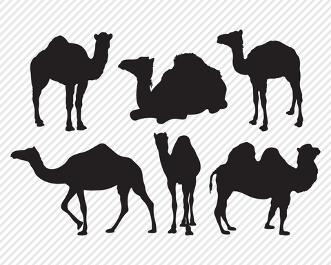 Safari Wildlife Super Bundle | Outdoor SVG SVG Texas Southern Cuts 