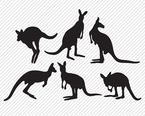 Safari Wildlife Super Bundle | Outdoor SVG SVG Texas Southern Cuts 