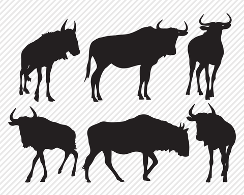 Safari Wildlife Super Bundle | Outdoor SVG SVG Texas Southern Cuts 