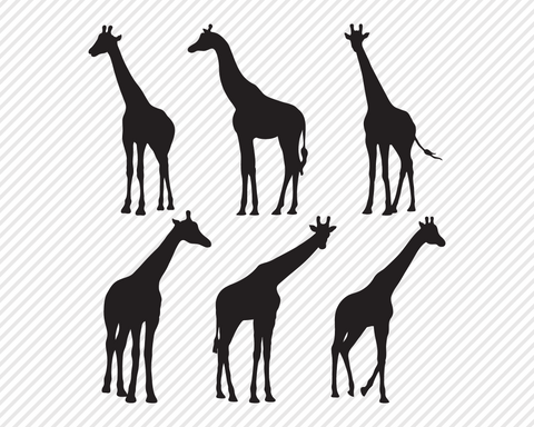 Safari Wildlife Super Bundle | Outdoor SVG SVG Texas Southern Cuts 