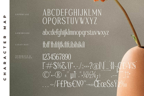 Safilms Crawford Typeface Font Storytype Studio 