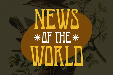 SAGITARION Typeface Font Storytype Studio 