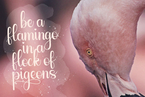 Sailyme - Lovely Script Font Font StringLabs 