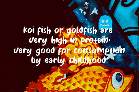 Sakamoto Font gatype 