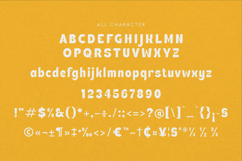 Saklifie Typeface Font Storytype Studio 