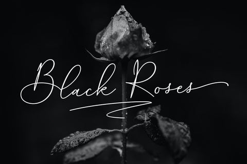 Salenta Font Megatype 