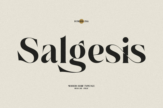 Salgesis Typeface Font Storytype Studio 