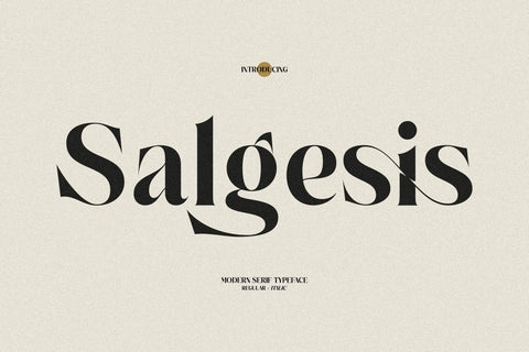 Salgesis Typeface Font Storytype Studio 