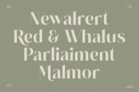 Salgesis Typeface Font Storytype Studio 