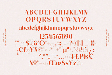 Salgesis Typeface Font Storytype Studio 