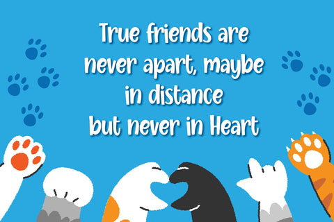 Salju Putih Font Abo Daniel Studio 