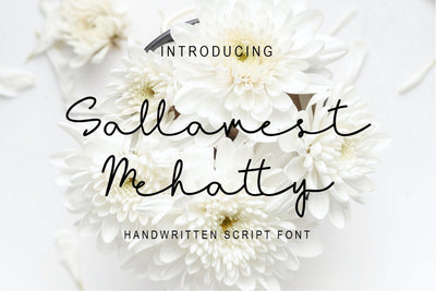 Sallamest Handwritten Script Font Font Balevgraph Studio 