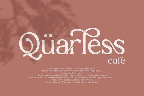 Sallenas Grandes|Elegant Serif Font Font studioalmeera 