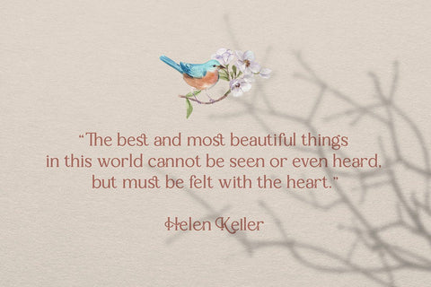 Sallenas Grandes|Elegant Serif Font Font studioalmeera 