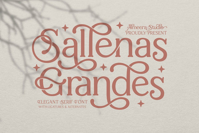 Sallenas Grandes|Elegant Serif Font Font studioalmeera 