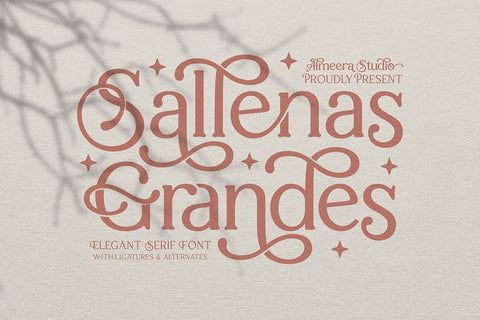 Sallenas Grandes|Elegant Serif Font Font studioalmeera 
