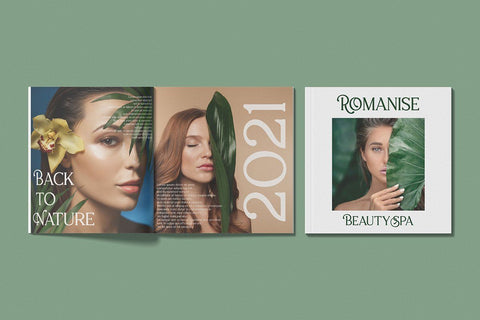 Sallenas Grandes|Elegant Serif Font Font studioalmeera 