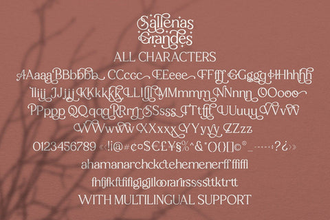 Sallenas Grandes|Elegant Serif Font Font studioalmeera 