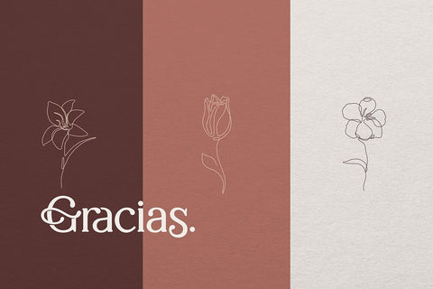 Sallenas Grandes|Elegant Serif Font Font studioalmeera 