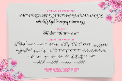 Salsadila Script Font Rastype 