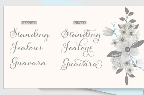 Salsadila Script Font Rastype 