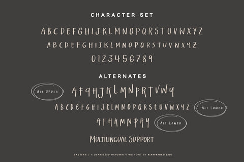 Salting - Handwritten Font Font Alpaprana Studio 