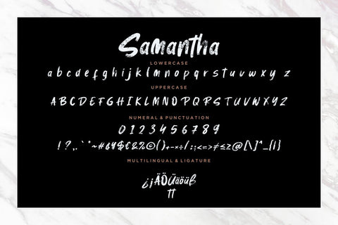 Samantha Brush Stylish Marker Font Creatype Studio 