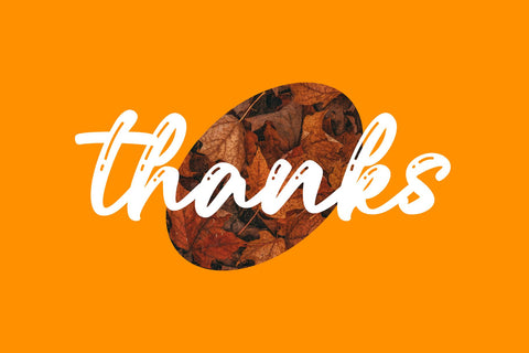 Samantha Script Font Font Typobia 